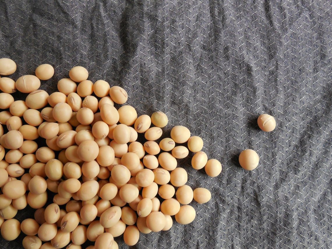 quinoa