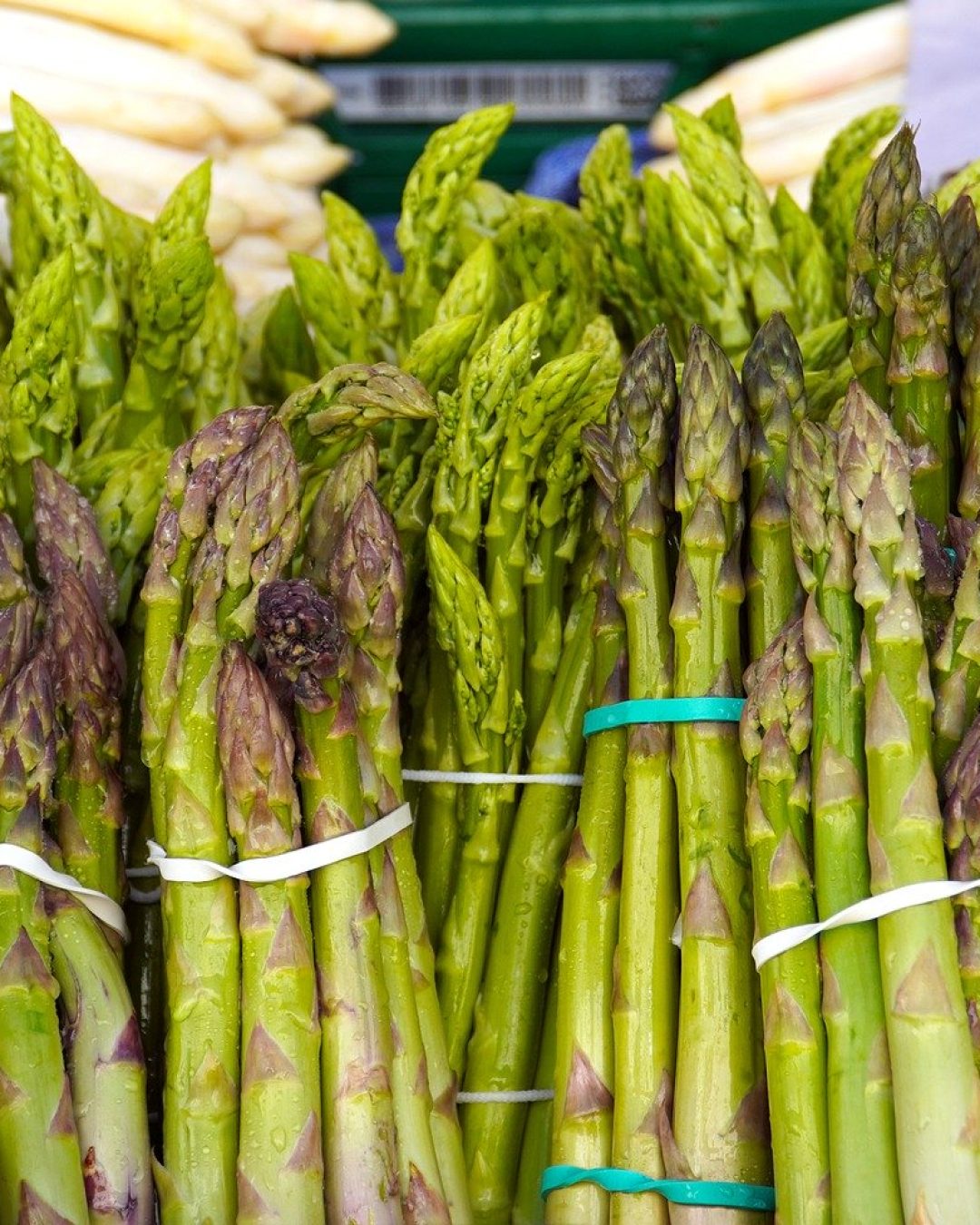 Asperge