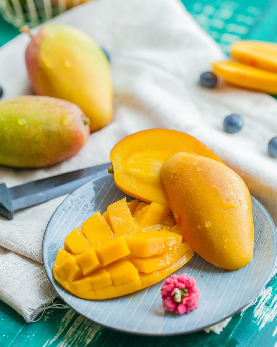 mangue