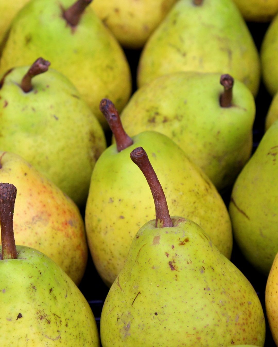 Poire analyse