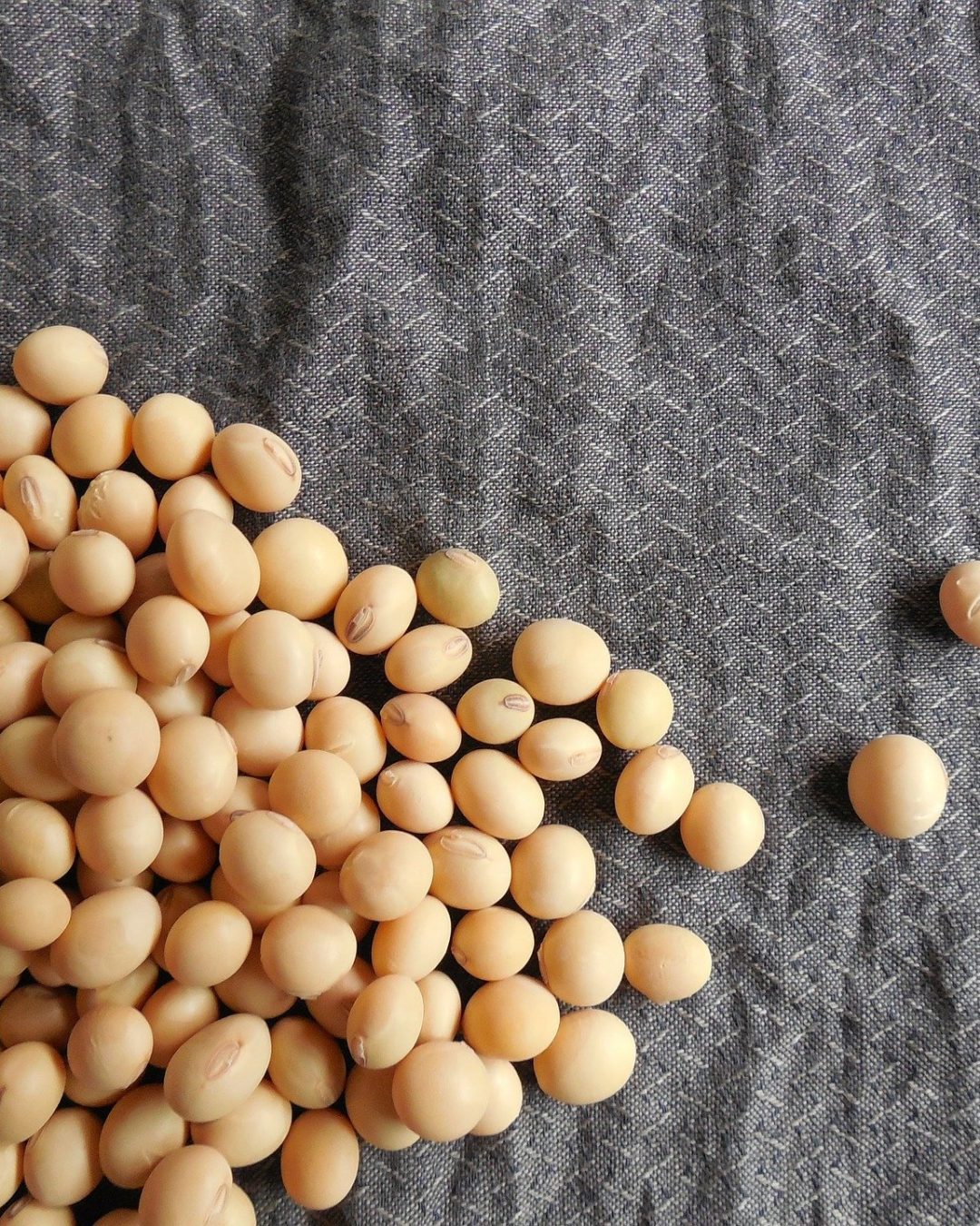 quinoa